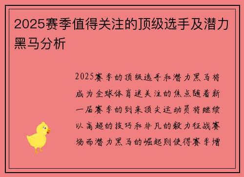 2025赛季值得关注的顶级选手及潜力黑马分析