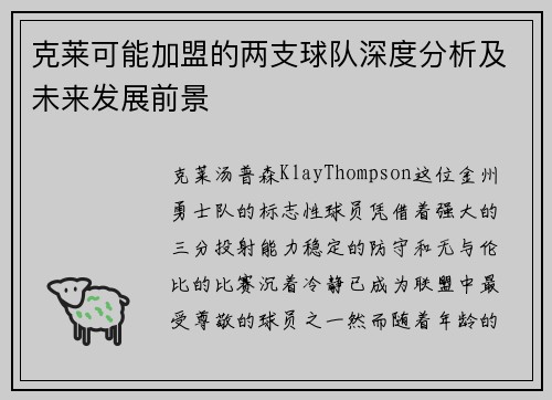 克莱可能加盟的两支球队深度分析及未来发展前景