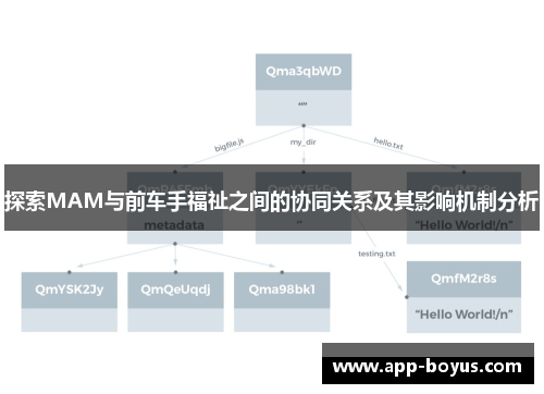 探索MAM与前车手福祉之间的协同关系及其影响机制分析