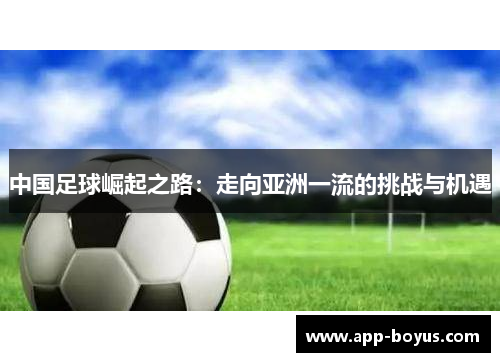 中国足球崛起之路:走向亚洲一流的挑战与机遇 中国足球崛起之路:走向亚洲一流的挑战与机遇