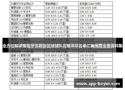 全方位解读葡萄牙各级别足球球队完整详尽名单汇编指南全面资料集